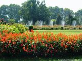 Srinagar 1-Giardini Nishat